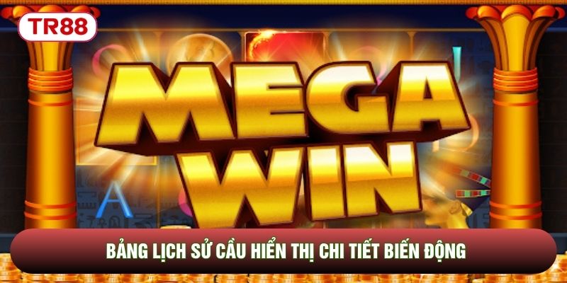 Bảng lịch sử cầu hiển thị chi tiết biến động Bảng lịch sử cầu hiển thị chi tiết biến động