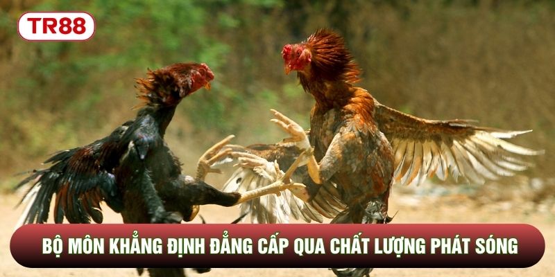 Bộ môn khẳng định đẳng cấp qua chất lượng phát sóng Bộ môn khẳng định đẳng cấp qua chất lượng phát sóng