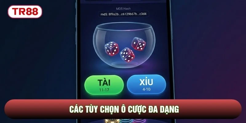Các tùy chọn ô cược đa dạng Các tùy chọn ô cược đa dạng