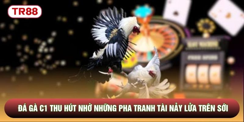 Đá gà C1 thu hút nhờ những pha tranh tài nảy lửa trên sới Đá gà C1 thu hút nhờ những pha tranh tài nảy lửa trên sới
