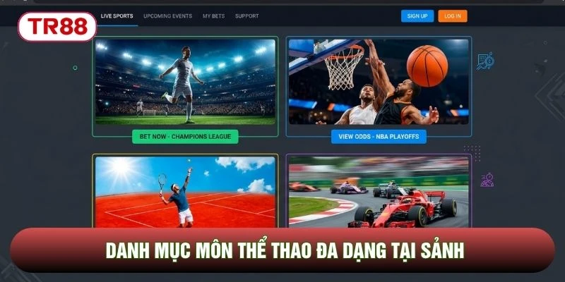 Danh mục môn thể thao đa dạng tại sảnh Danh mục môn thể thao đa dạng tại sảnh