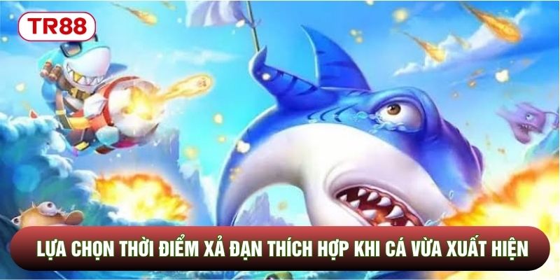 Lựa chọn thời điểm xả đạn thích hợp khi cá vừa xuất hiện Lựa chọn thời điểm xả đạn thích hợp khi cá vừa xuất hiện