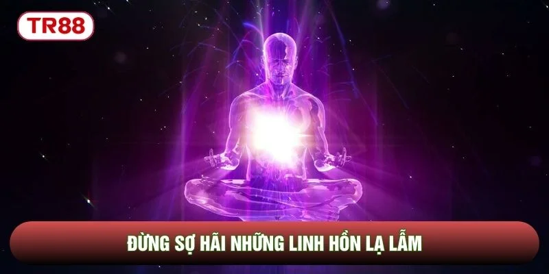 Đừng sợ hãi những linh hồn lạ lẫm Đừng sợ hãi những linh hồn lạ lẫm
