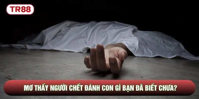 Mơ thấy người chết đánh con gì bạn đã biết chưa? Mơ thấy người chết đánh con gì bạn đã biết chưa?