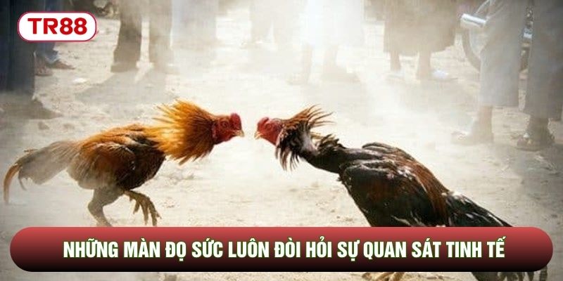 Những màn đọ sức luôn đòi hỏi sự quan sát tinh tế Những màn đọ sức luôn đòi hỏi sự quan sát tinh tế