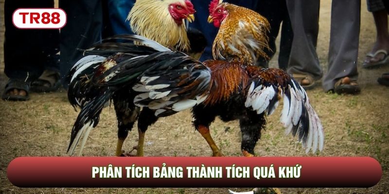 Phân tích bảng thành tích quá khứ Phân tích bảng thành tích quá khứ