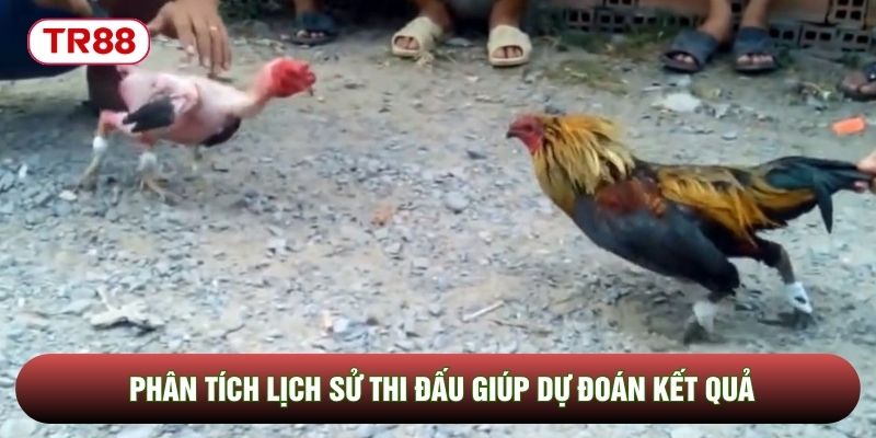 Phân tích lịch sử thi đấu giúp dự đoán kết quả