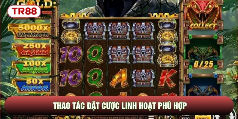 Thao tác đặt cược linh hoạt phù hợp Thao tác đặt cược linh hoạt phù hợp
