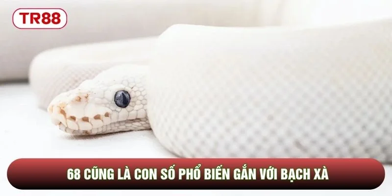 68 cũng là con số phổ biến gắn với bạch xà 68 cũng là con số phổ biến gắn với bạch xà